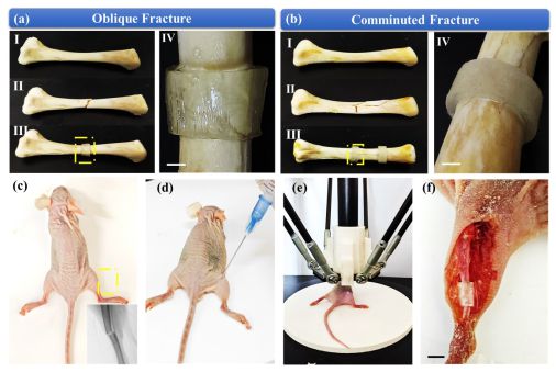 微晶水凝胶解锁3D打印新维度——昆明理工大学徐旭辉团队实现体内原位成型突破